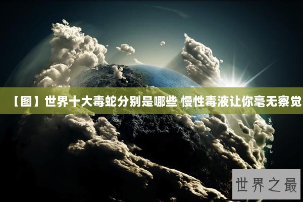 【图】世界十大毒蛇分别是哪些 慢性毒液让你毫无察觉