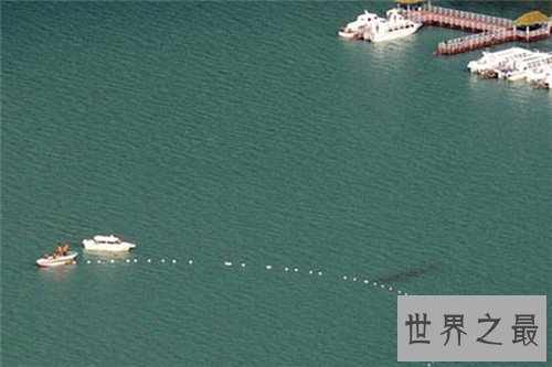 【图】巨型哲罗鲑可谓最厉害咸水鱼 曾被误以为喀纳斯