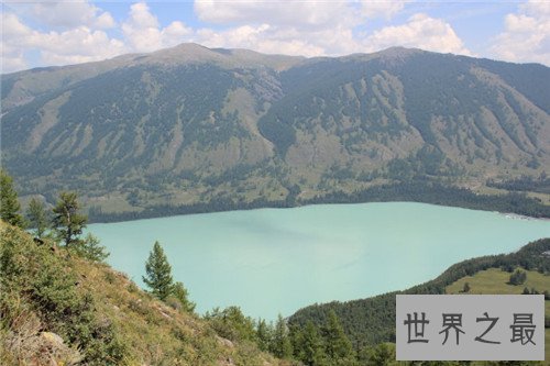 【图】巨型哲罗鲑可谓最厉害咸水鱼 曾被误以为喀纳斯