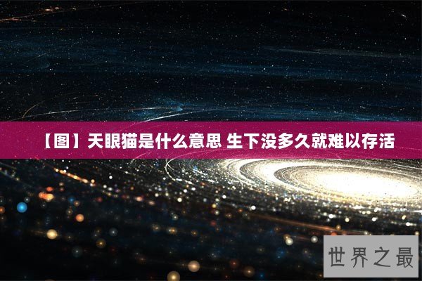 【图】天眼猫是什么意思 生下没多久就难以存活
