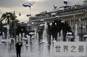 【图】空中降鱼 天上免费送食物真的发生了