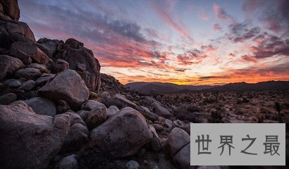 【图】空中降鱼 天上免费送食物真的发生了