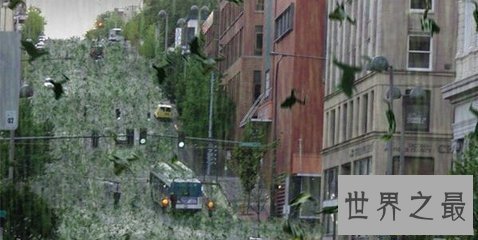 【图】空中降鱼 天上免费送食物真的发生了