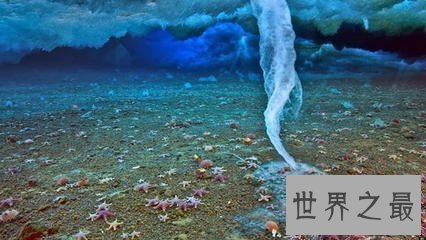 【图】空中降鱼 天上免费送食物真的发生了