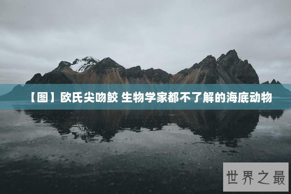 【图】欧氏尖吻鲛 生物学家都不了解的海底动物