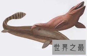 【图】欧氏尖吻鲛 生物学家都不了解的海底动物