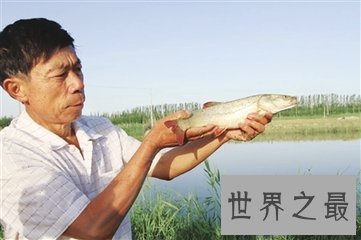 【图】欧氏尖吻鲛 生物学家都不了解的海底动物