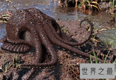【图】沼泽章鱼有八只触角 长得十分可怕