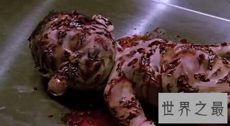 【图】电视上咱们常常看到的巫师养的蛊虫切实存在吗