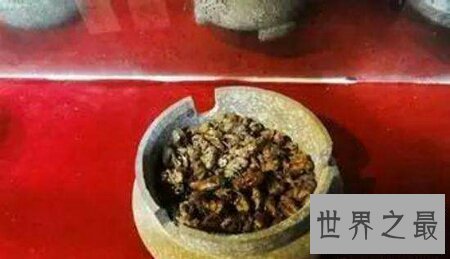 【图】电视上咱们常常看到的巫师养的蛊虫切实存在吗