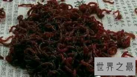 【图】电视上咱们常常看到的巫师养的蛊虫切实存在吗