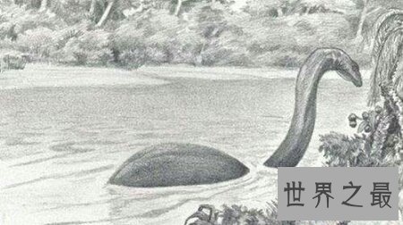 【图】生存在非洲刚果沼泽深处的刚果恐龙切实存在吗