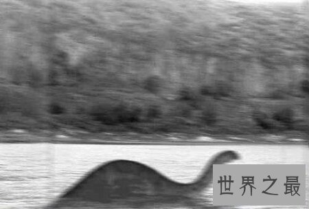 【图】生存在非洲刚果沼泽深处的刚果恐龙切实存在吗