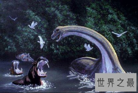【图】生存在非洲刚果沼泽深处的刚果恐龙切实存在吗
