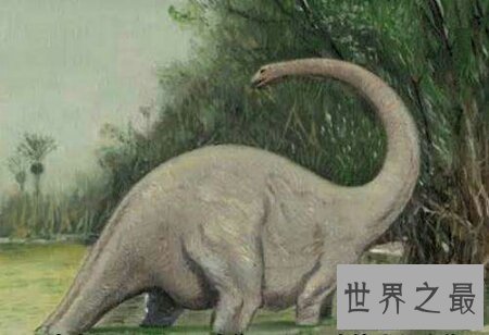 【图】生存在非洲刚果沼泽深处的刚果恐龙切实存在吗