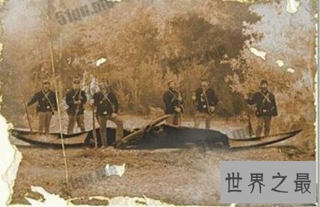 【图】生存在非洲刚果沼泽深处的刚果恐龙切实存在吗