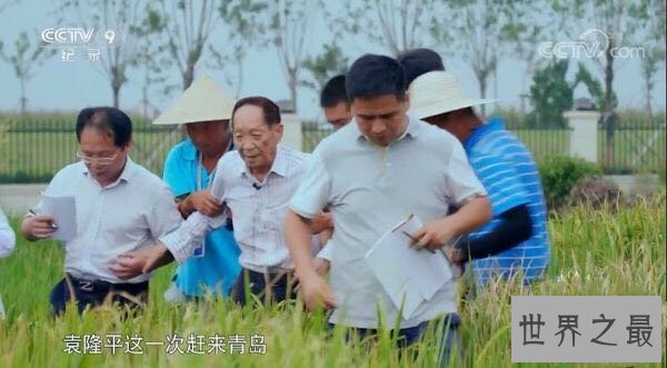 【图】《超级工程3》，带你走进中国的畛域之王