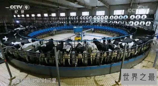 【图】《超级工程3》，带你走进中国的畛域之王