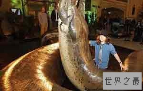 【图】最大的蟒蛇史前动物泰坦蟒蛇的恐惧之处