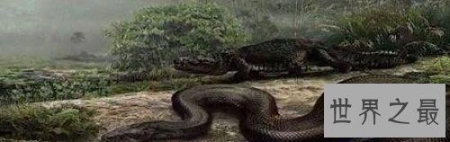 【图】最大的蟒蛇史前动物泰坦蟒蛇的恐惧之处