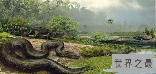 【图】最大的蟒蛇史前动物泰坦蟒蛇的恐惧之处