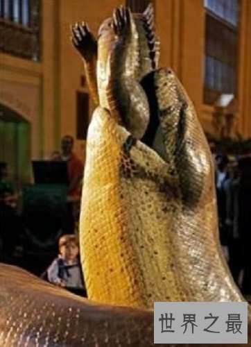 【图】最大的蟒蛇史前动物泰坦蟒蛇的恐惧之处