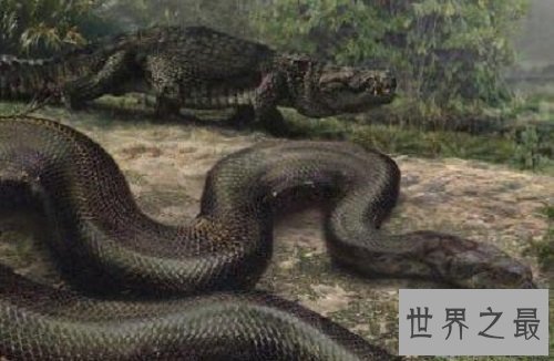 【图】最大的蟒蛇史前动物泰坦蟒蛇的恐惧之处