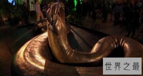 【图】最大的蟒蛇史前动物泰坦蟒蛇的恐惧之处