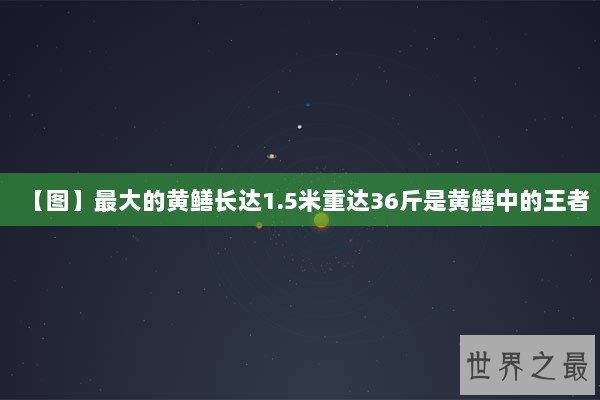 【图】最大的黄鳝长达1.5米重达36斤是黄鳝中的王者