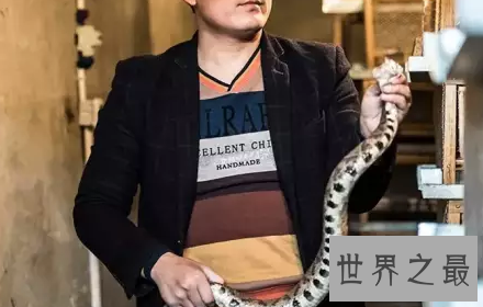 【图】绿茸线蛇 一千六百岁还是幼儿这是要修炼到化龙