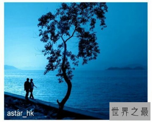 【图】红极一时的漫步人生路，演唱者邓丽君