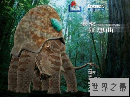 【图】大王陆鱿是鱿鱼的一种 长得十分的大