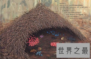 【图】这些风趣的动物知识你错过了很久