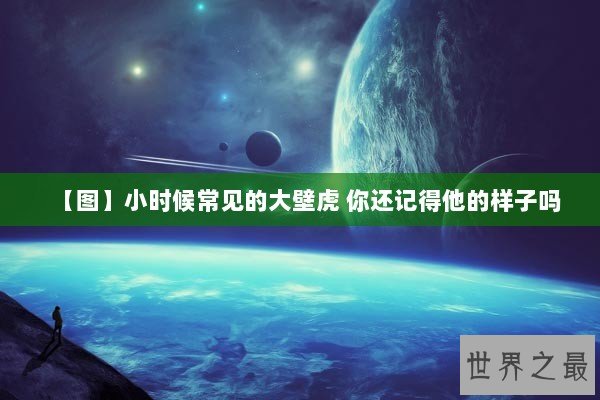 【图】小时候常见的大壁虎 你还记得他的样子吗