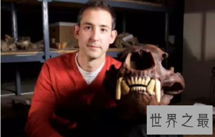 【图】熊类中的狮子巨型短面熊曾经在北美洲独步天下