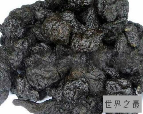 【图】一种既可能当做药材，也可能用来泡酒的植物—