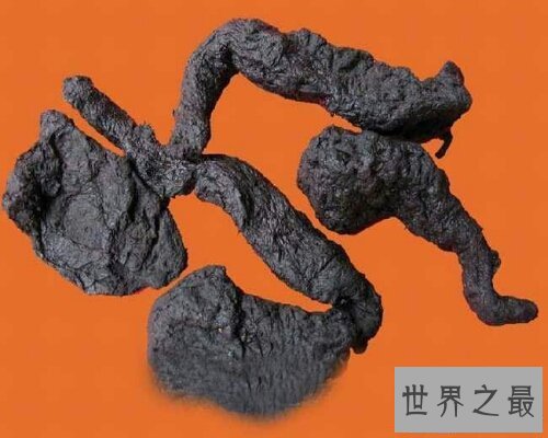 【图】一种既可能当做药材，也可能用来泡酒的植物—