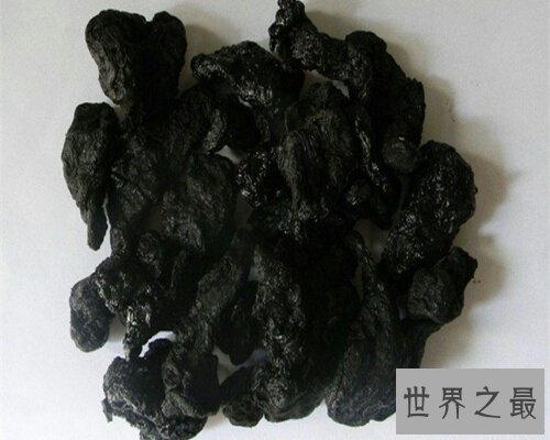 【图】一种既可能当做药材，也可能用来泡酒的植物—