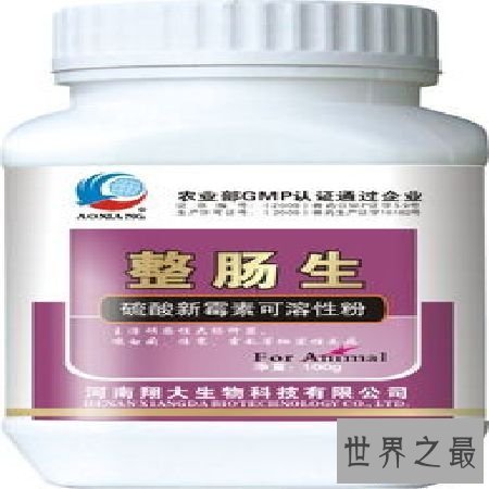 【图】关于治腹泻的整肠生，这里有你想知道的秘密