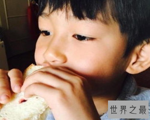 【图】家庭中利用频率最高的词：儿子及无关电影