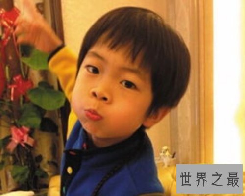 【图】家庭中利用频率最高的词：儿子及无关电影