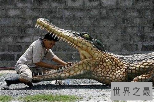 【图】最大的鳄鱼是什么品种 因为人们的厮杀有些已经