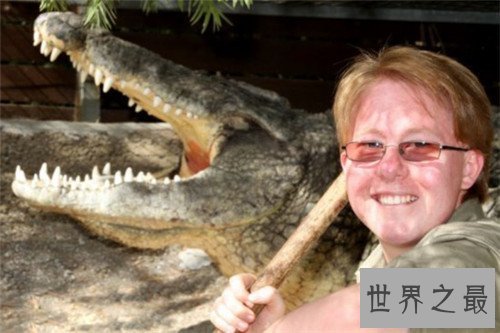 【图】最大的鳄鱼是什么品种 因为人们的厮杀有些已经