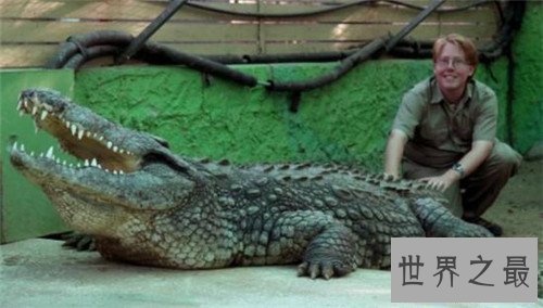 【图】最大的鳄鱼是什么品种 因为人们的厮杀有些已经