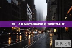 【图】子弹蚁毒性最强的蚂蚁 竟然以小打大