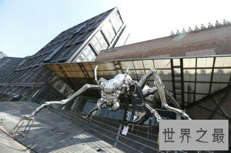 【图】你见过那些十分有力量的蚂蚁之巨型蚂蚁