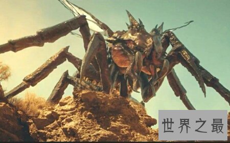 【图】你见过那些十分有力量的蚂蚁之巨型蚂蚁
