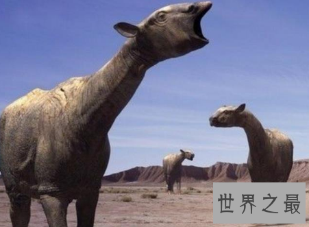 【图】世界上最大的哺乳动物你与他之间体积差了多少