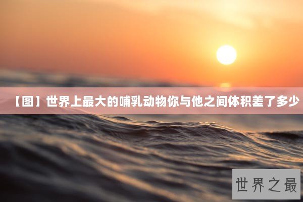 【图】世界上最大的哺乳动物你与他之间体积差了多少 【图】世界上最大的哺乳动物你与他之间体积差了多少