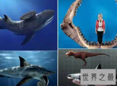 【图】巨齿鲨曾经海洋中的霸主究竟为何会灭绝